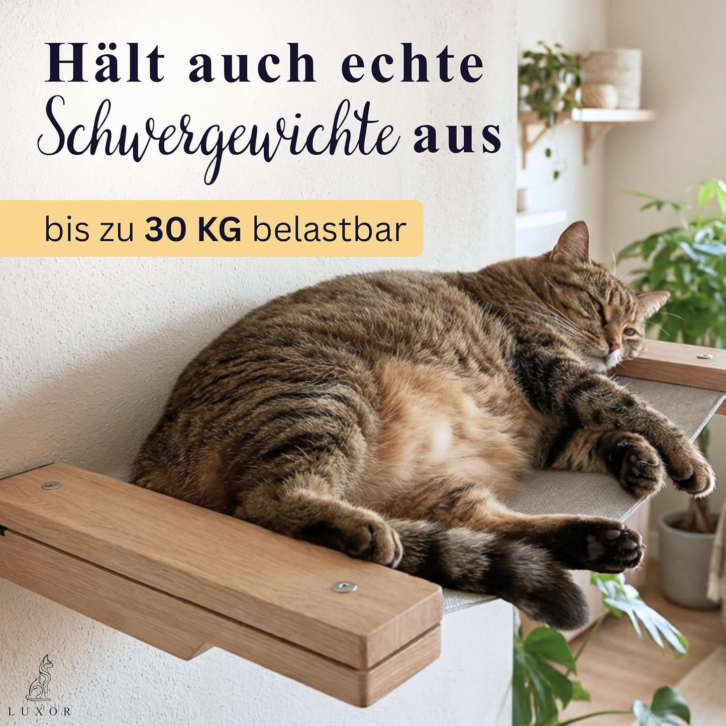 Kletterwand-Set für Katzen