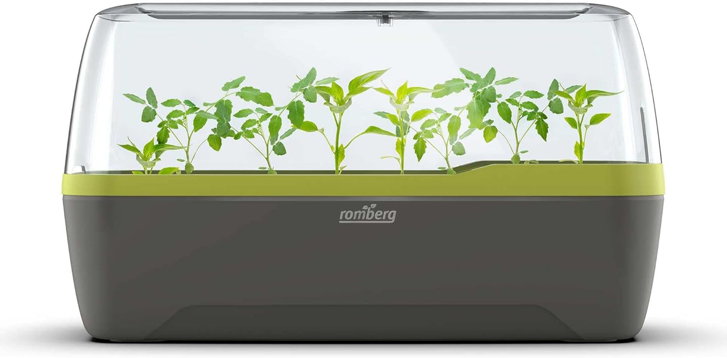 BoQube L Plus Pflanzsystem, Anthrazit-sommergrün, BoQube L Plus