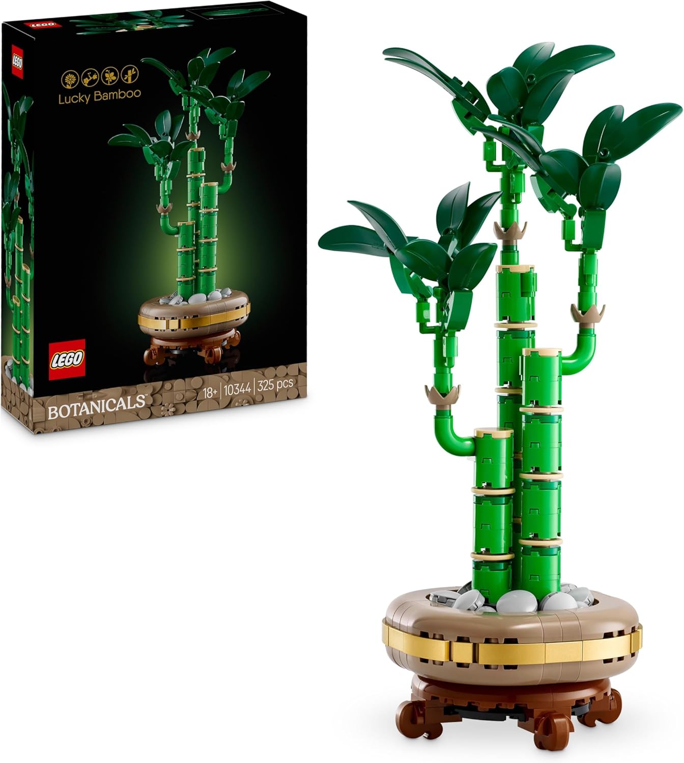 Botanicals Glücks-Bambus