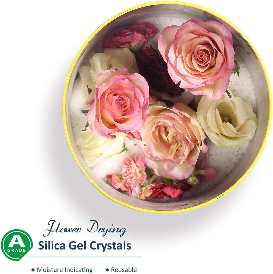 Silicagel Kristalle für Blumentrocknung, 5LBS