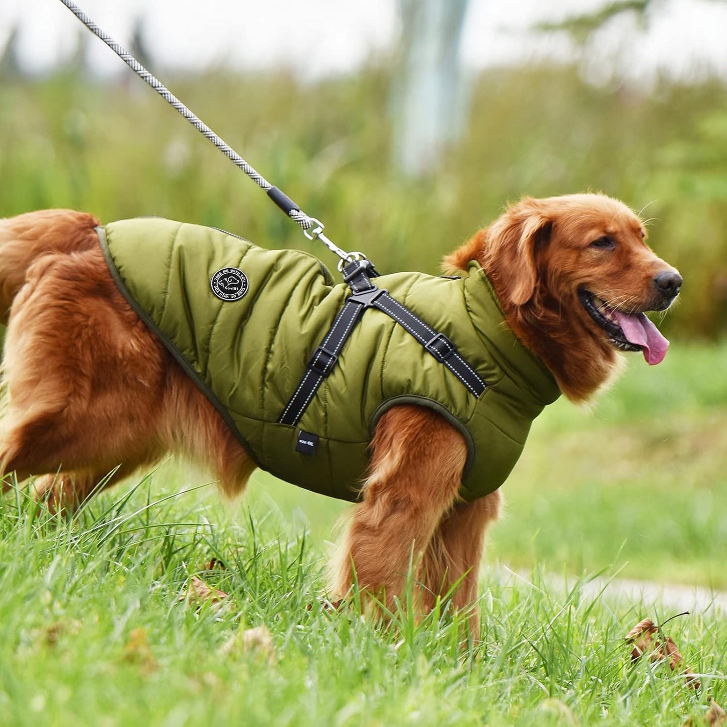 Hundemantel Winterweste mit Brustgurt, 4XL Grün