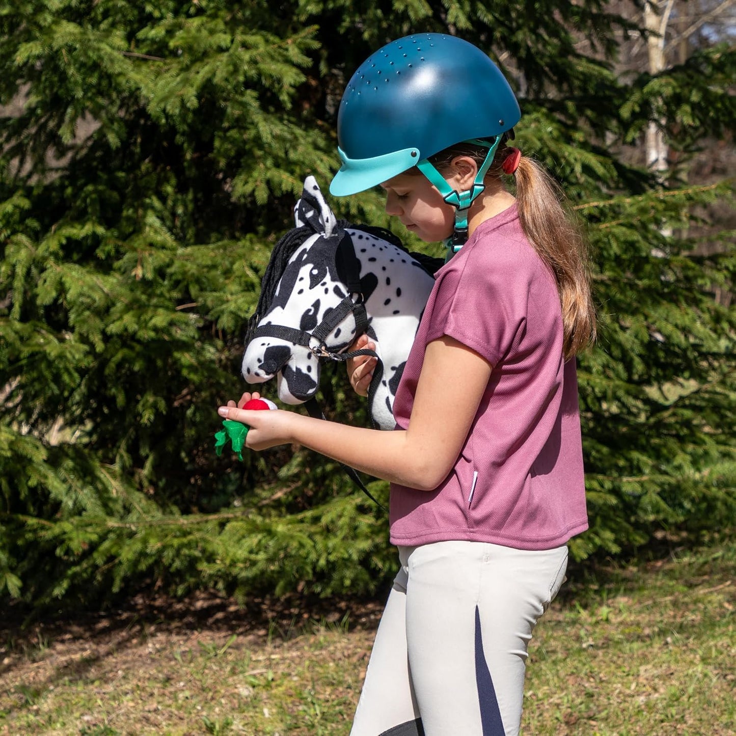 Hobby Horse