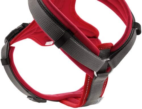 Geschirr Maldon, Rot XS