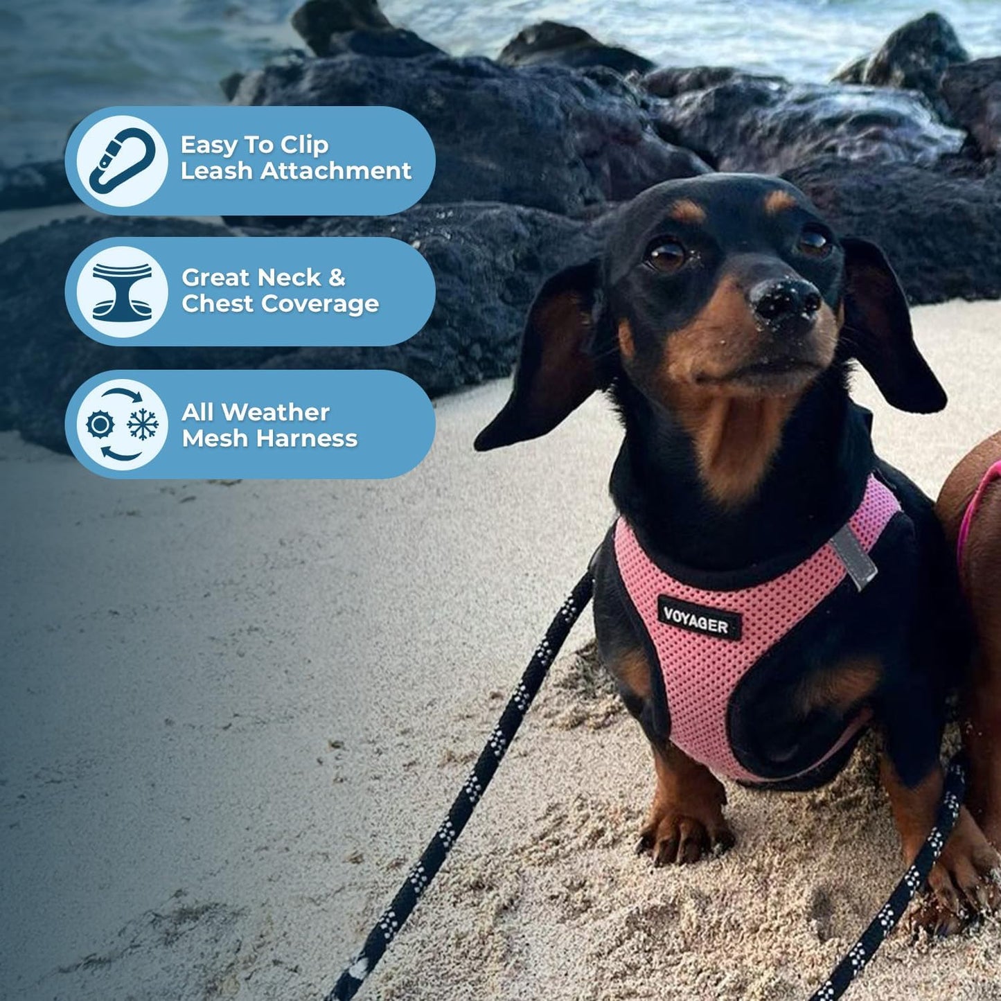 Step-In Air Hundegeschirr, 1 rosa Sockel. XS (Chest: 13 - 14.5")