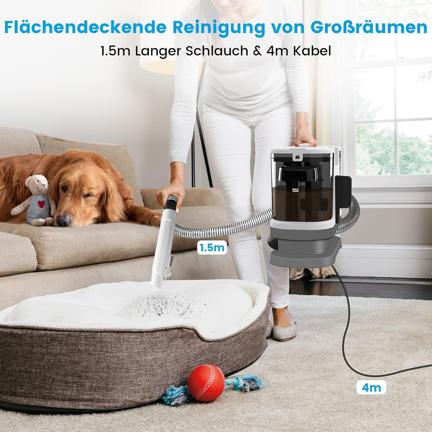 Polsterreiniger mit Tierhaarbürste, Weissgrau