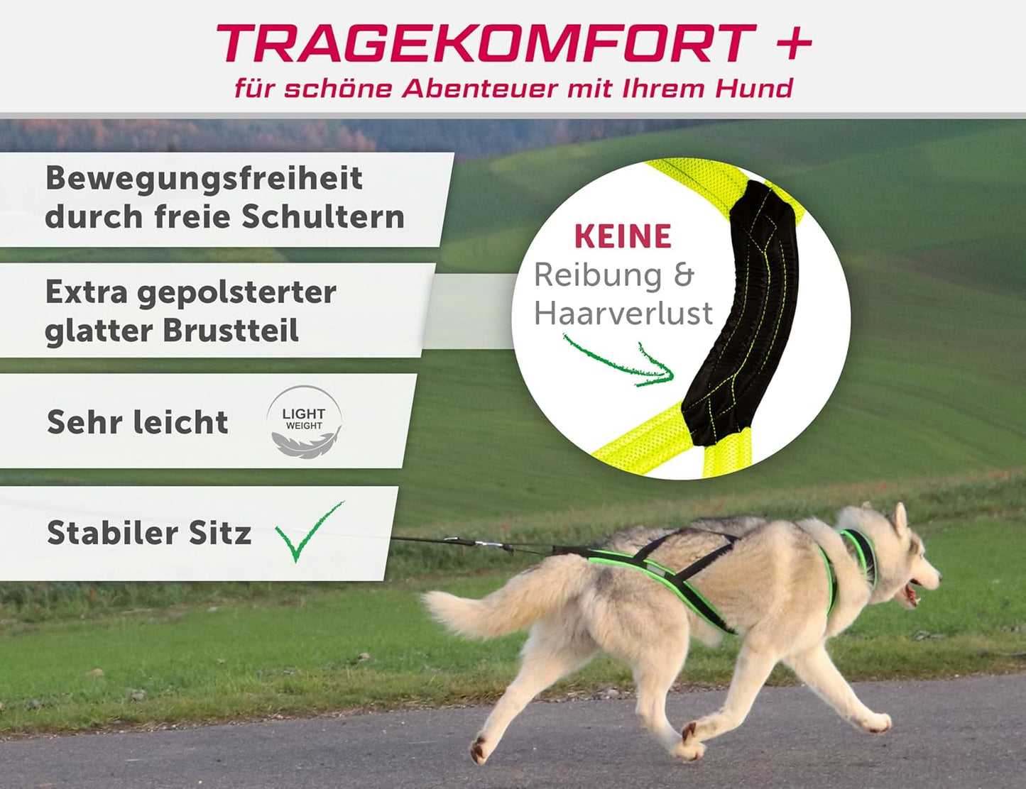 Hunde-Zuggeschirr für Canicross & Dogscooter, XS