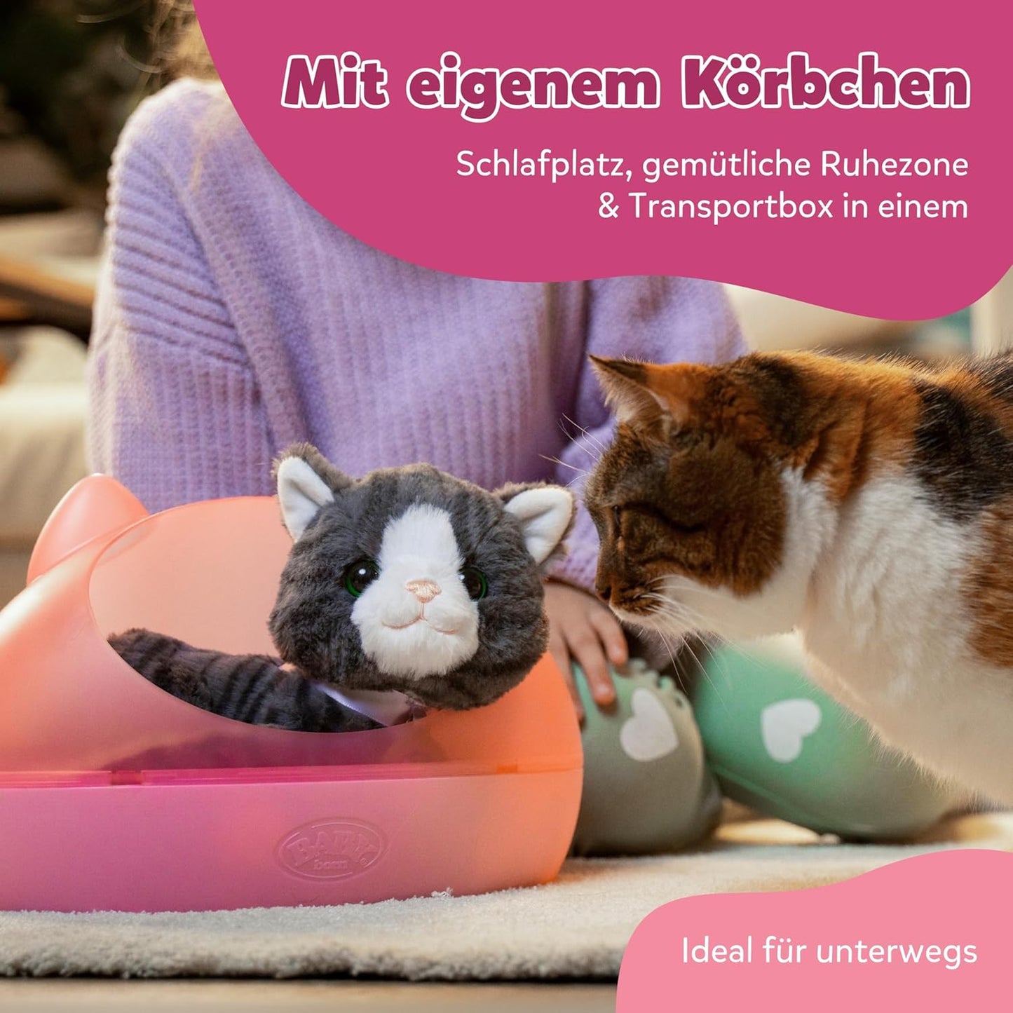 Meine Katze Cookie