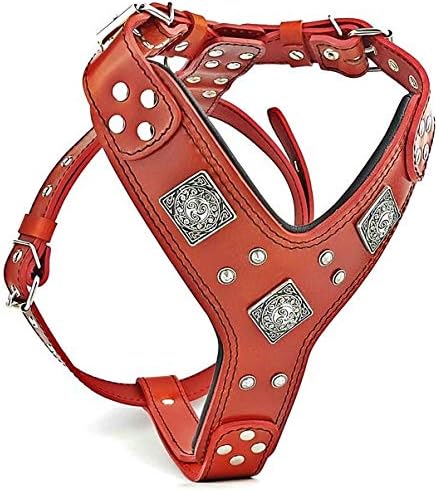 Hundegeschirr, L/XL- Amstaff / Dobermann