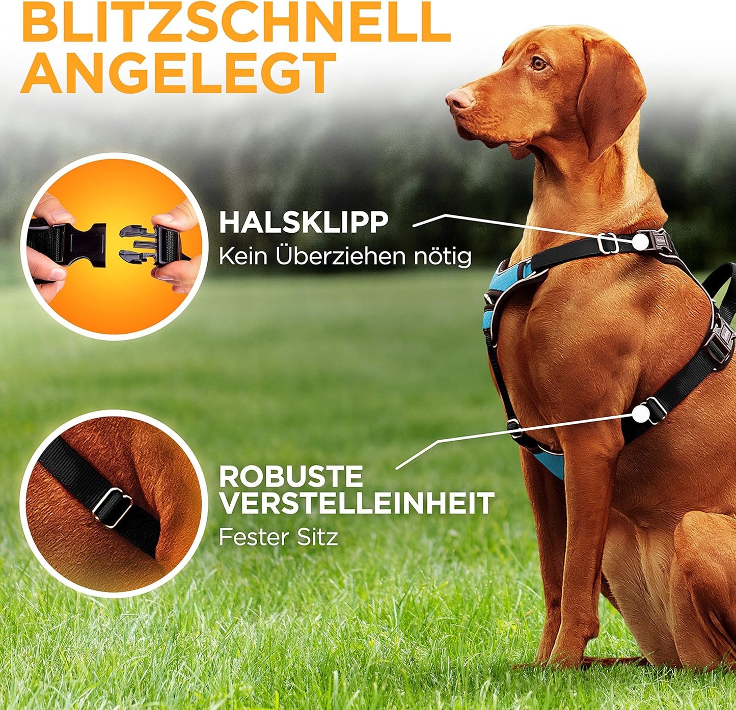 Hundegeschirr, Halsumfang (23-26cm) Brustumfang (30-37cm)|Blau