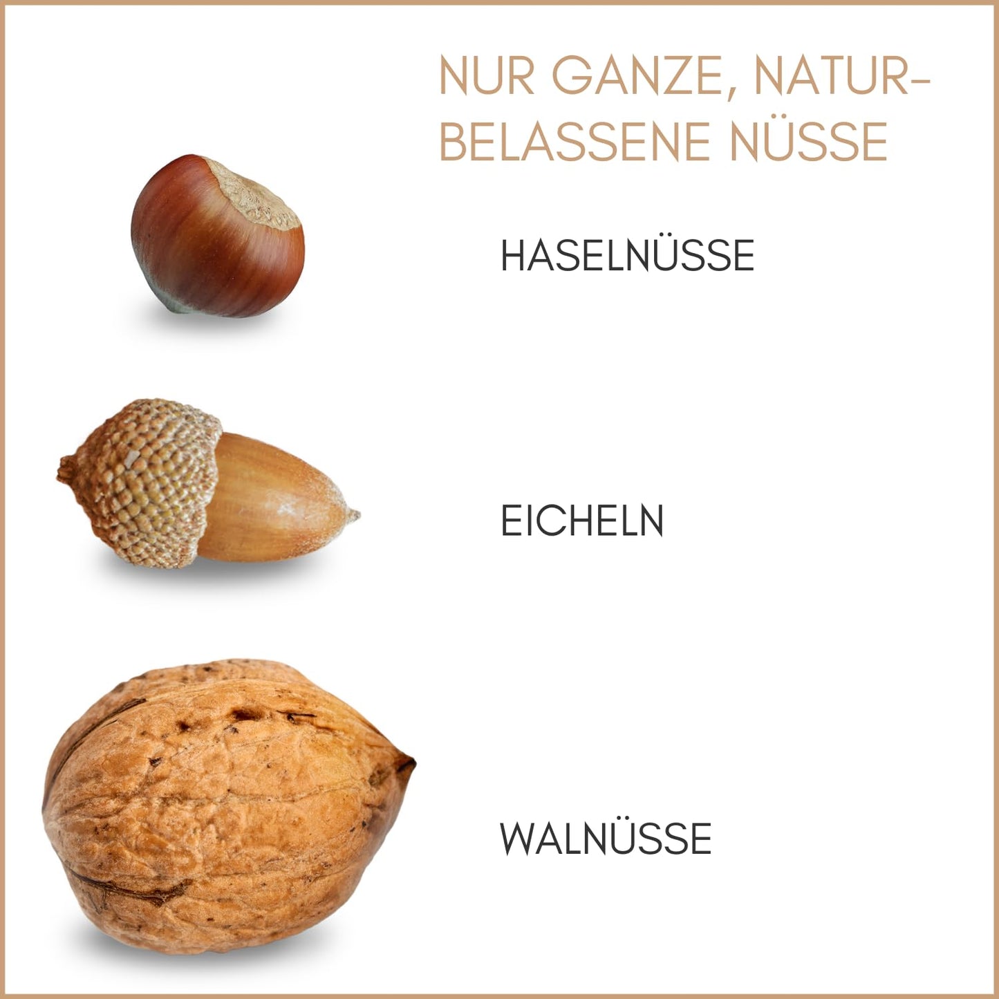 Nüsse-Mix für Eichhörnchenfutter mit Haselnüssen und Walnüssen mit Schale