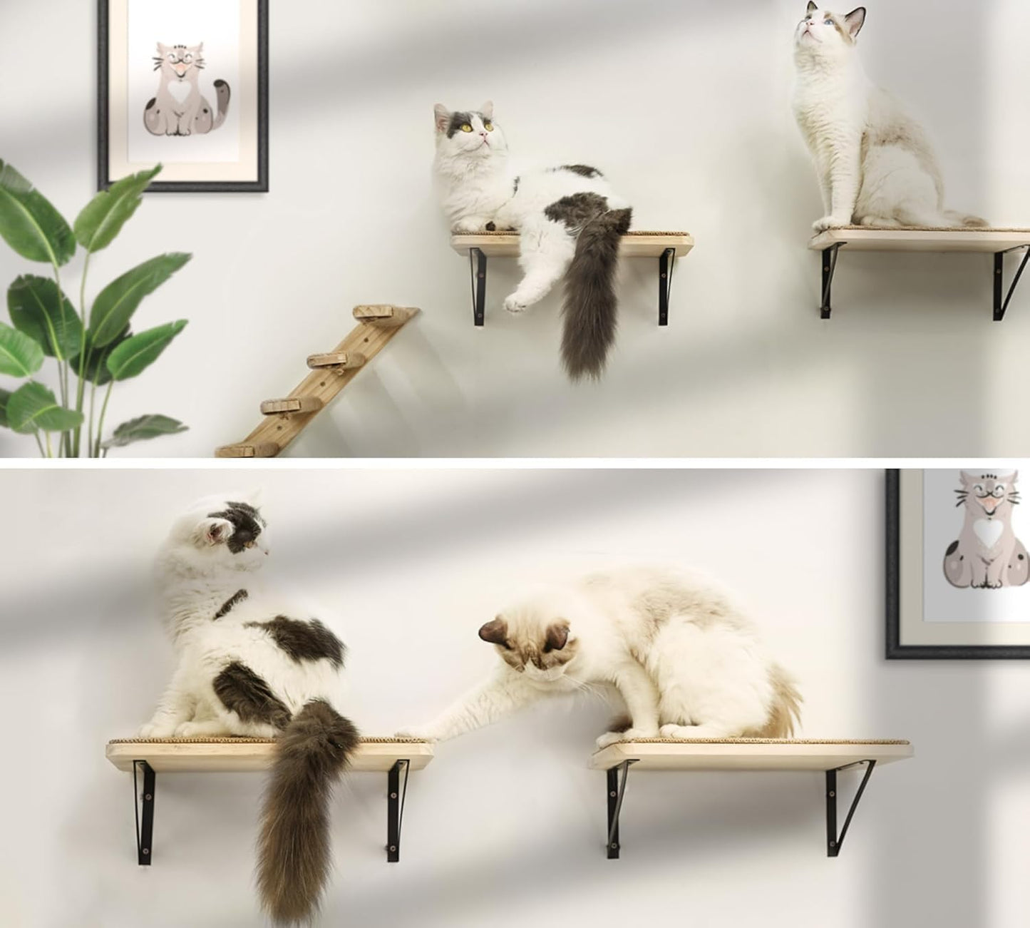 Katzen-Wandregal mit Kratzmatte, 1PC Katze Wandregal