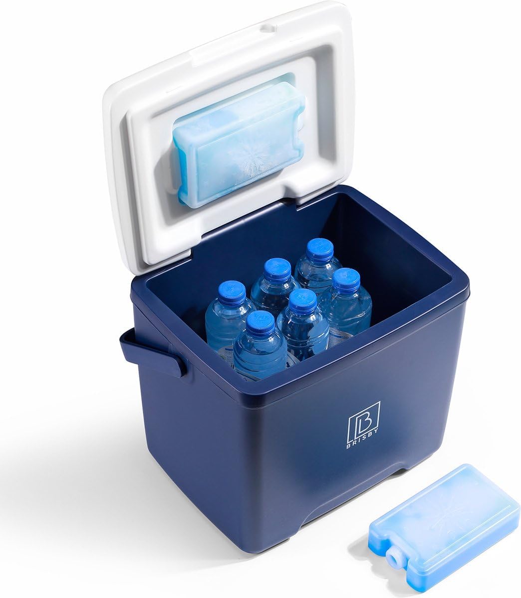 Kühlbox mit 2 Kühlelemente, 13 Liter - Blau