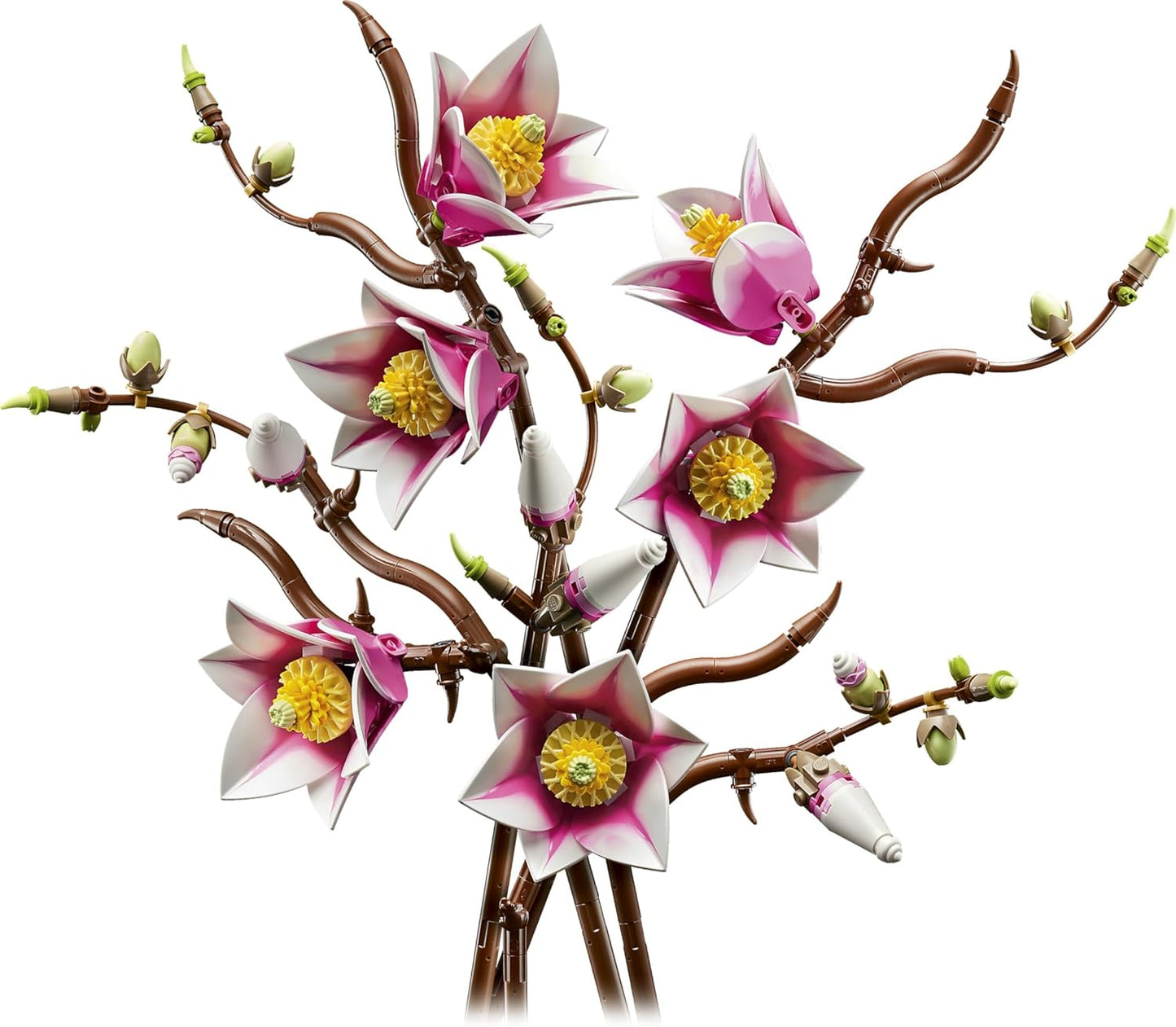 Magnolienzweige