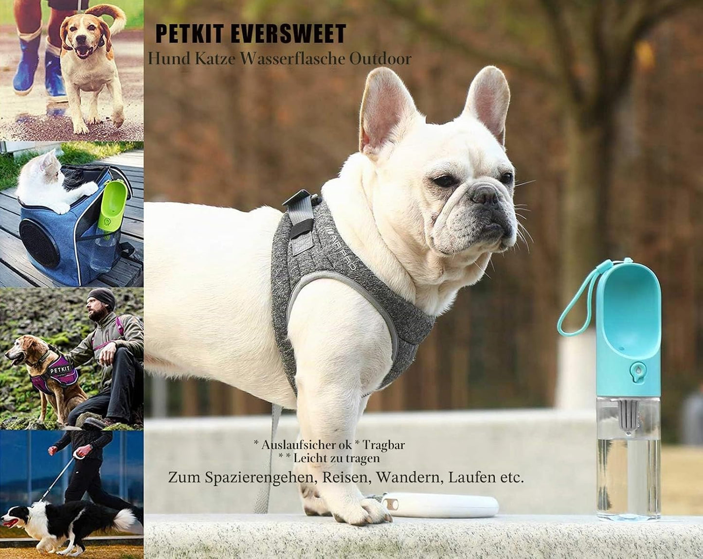 Hundetrinkflasche für unterwegs, Blau