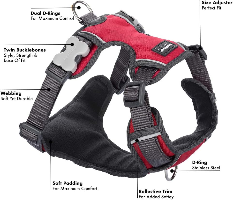 Hundegeschirr, rot, XS