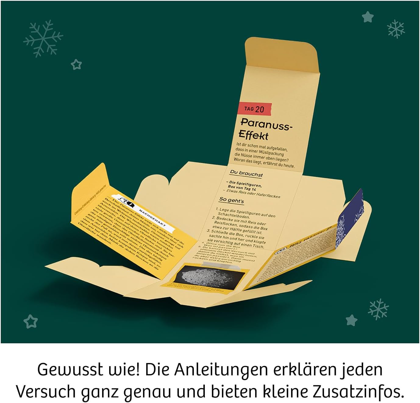 Die schönsten Experimente zur Weihnachtszeit - Adventskalender