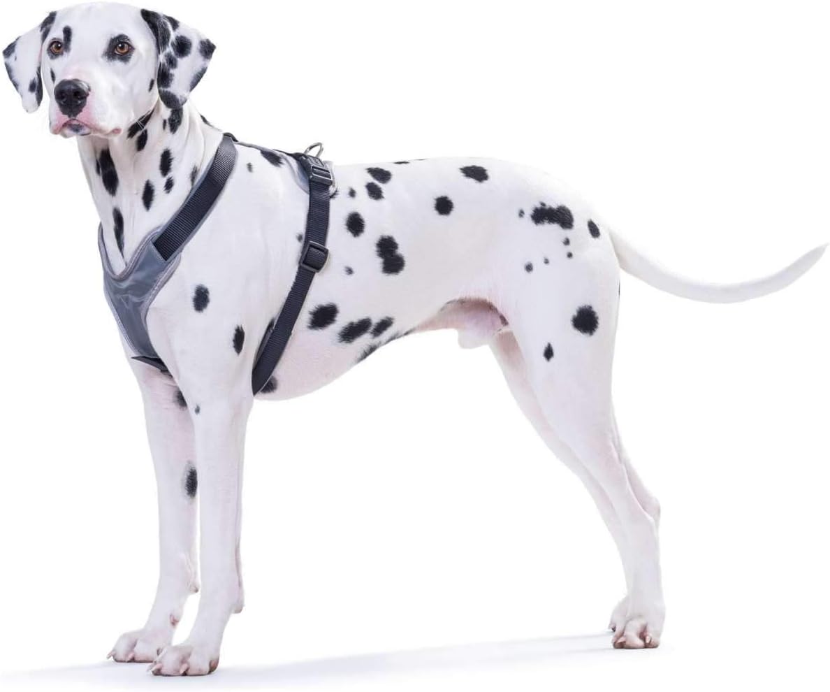 Hundegeschirr Neopren, schwarz/grau; 58 - 72 cm