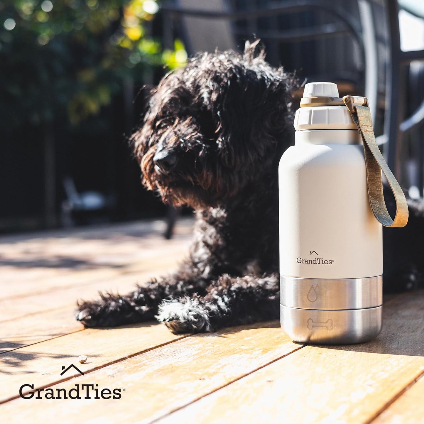 Hundewasserflasche mit 2 abnehmbaren Hundenapfspender, Ivory White Medium 32oz/950mL