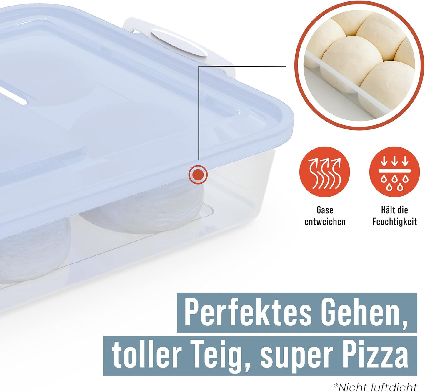 2er-Set Gärbox für Pizzateig, Blau 35,6 x 27,9 cm (2er-Pack)