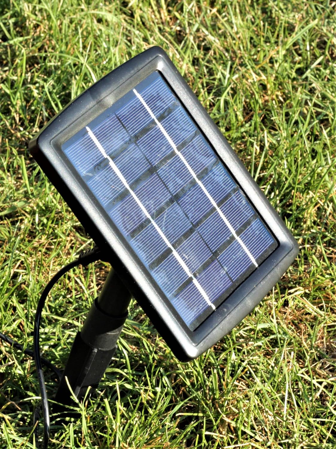 Solar-Wasserspeier Frosch