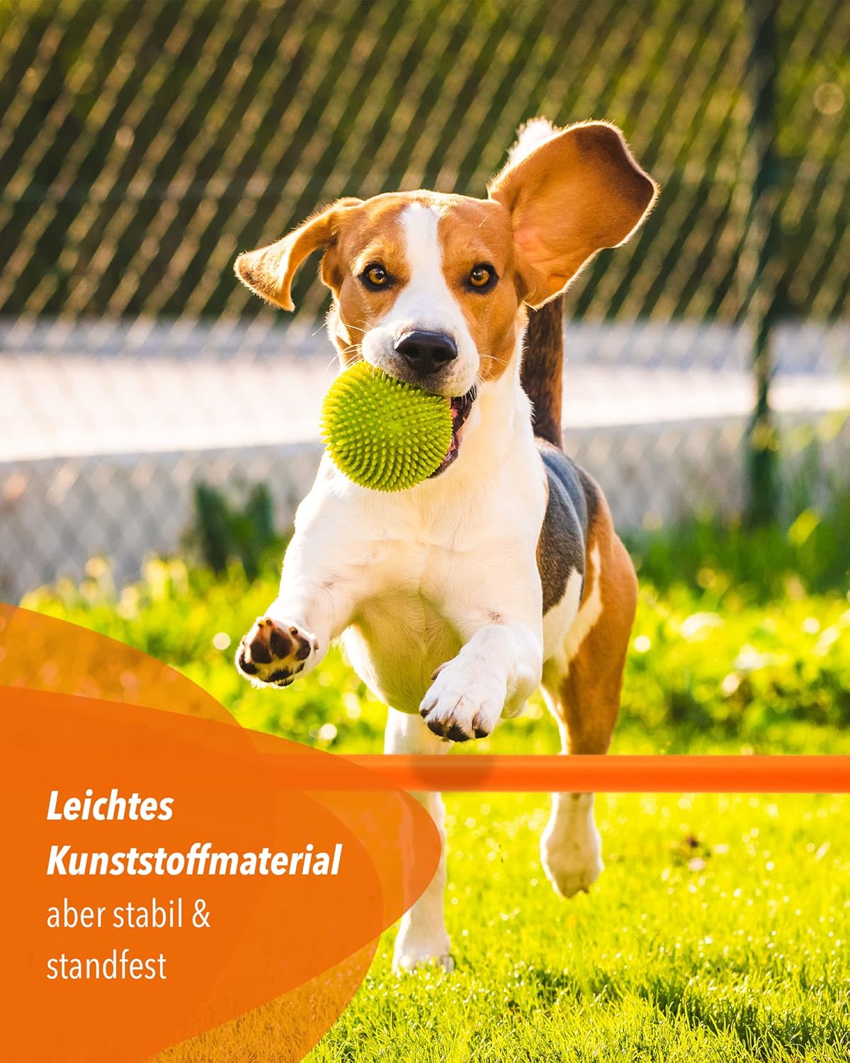 Parcours-Hürden-Set für Agility, orange/blau