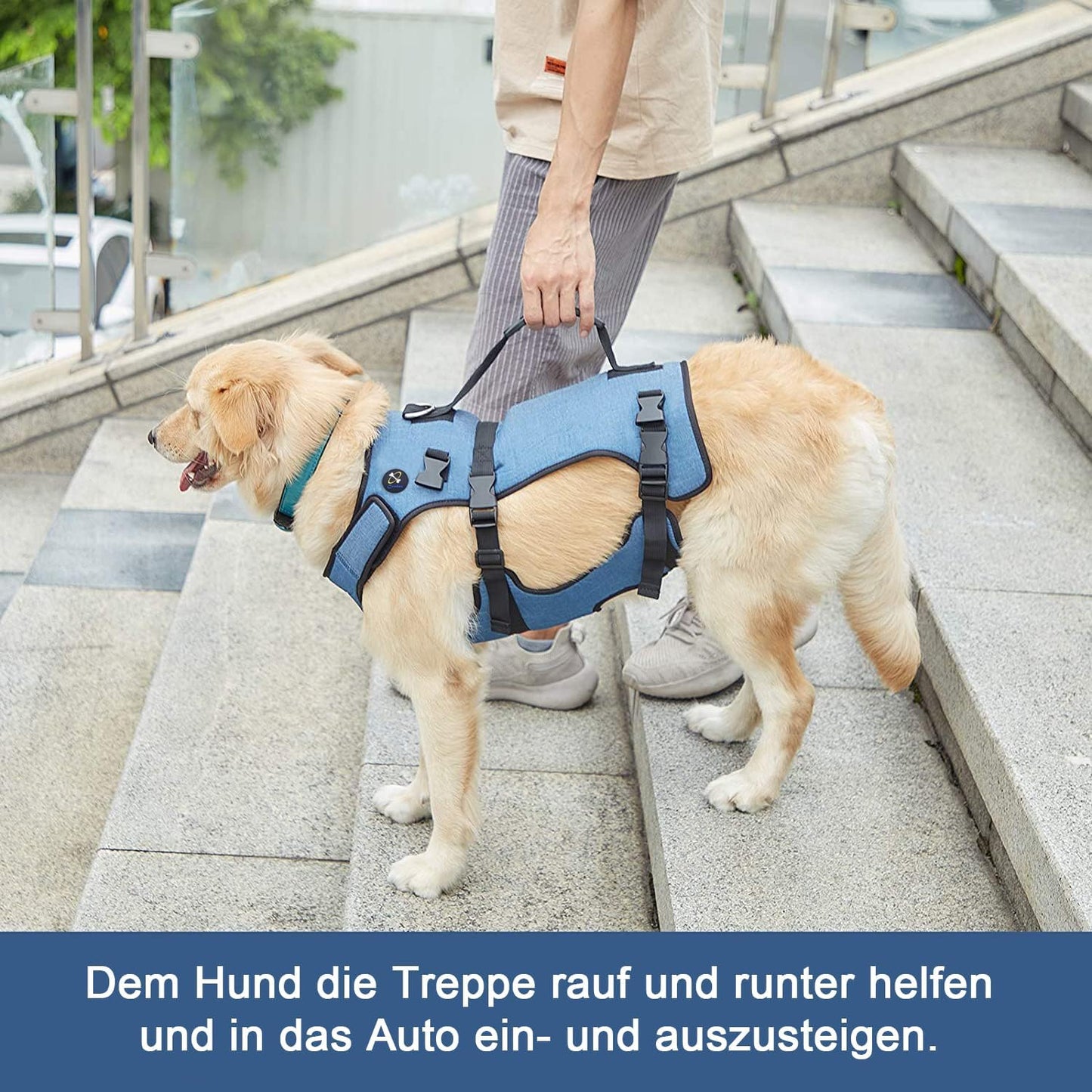 Hundelift Geschirr, M Blau