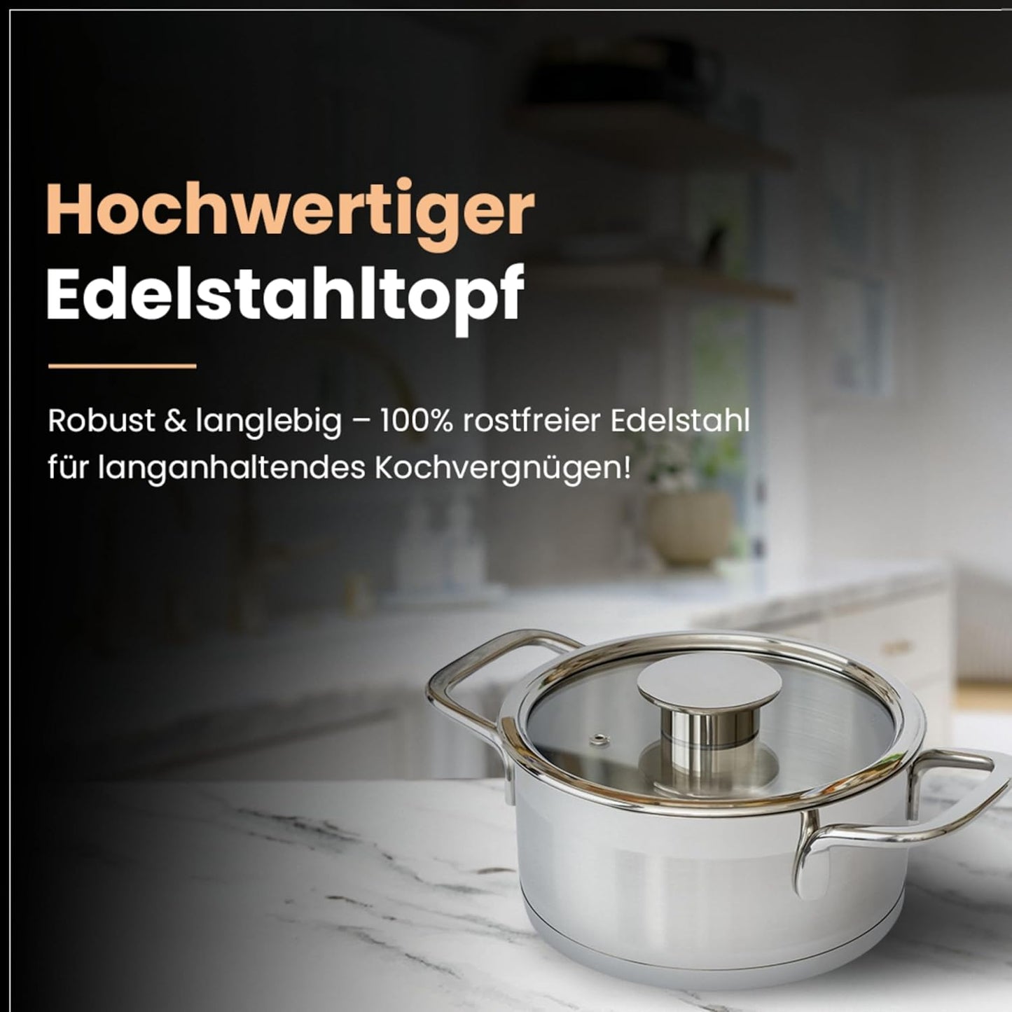 Kochtopf Classic Line, Classic Line 24 cm