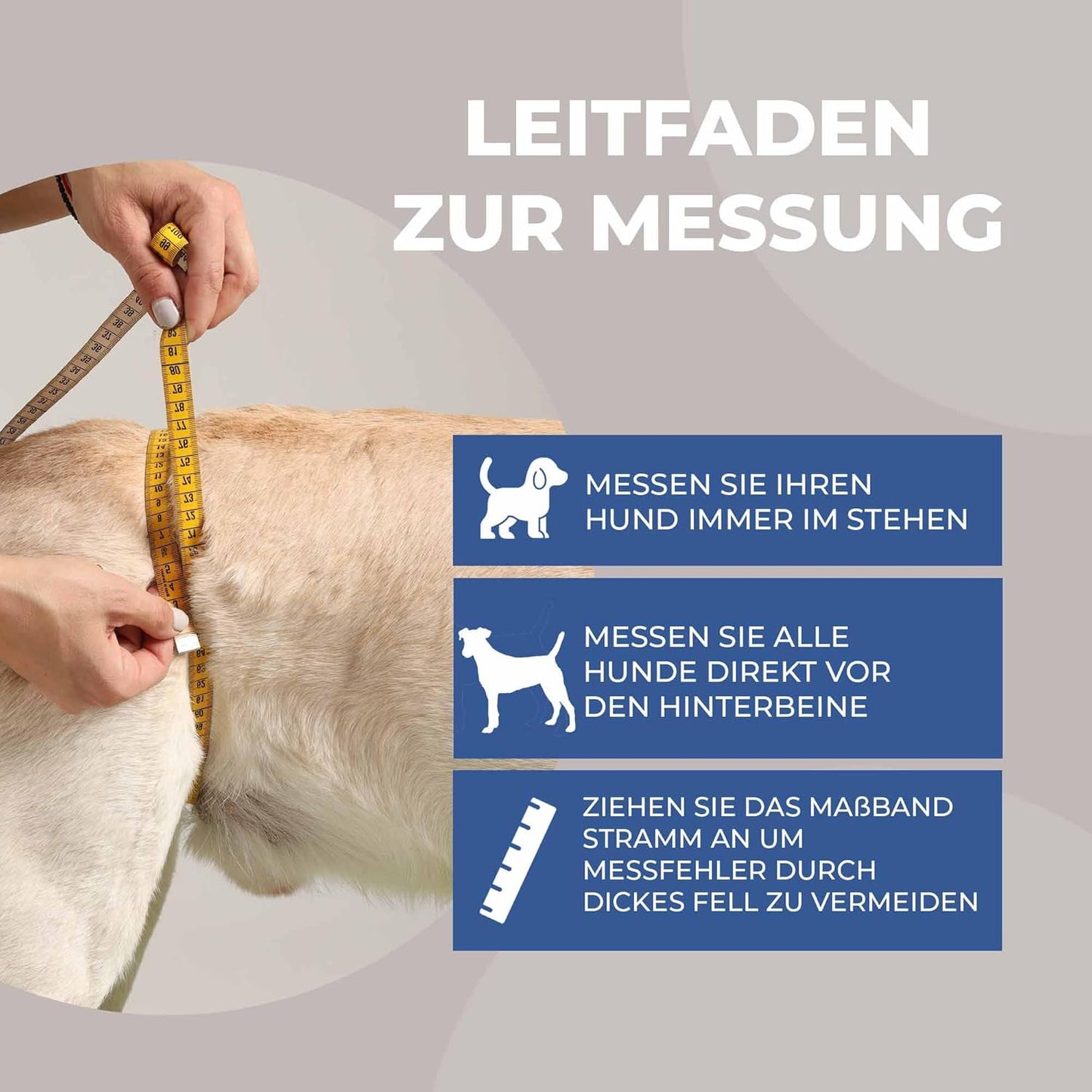Tragehilfe für Hunde hinten (XXL), XXL Blau