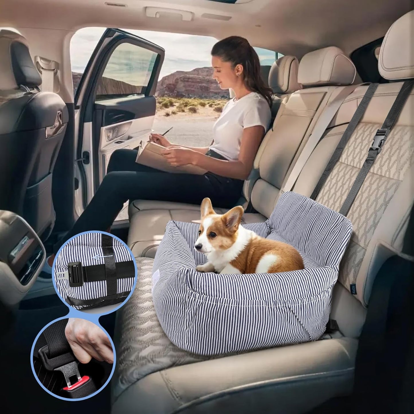 Hundeautositz mit Sicherheitsgurt bis 10 kg, wasserdicht, Blau-Weiss