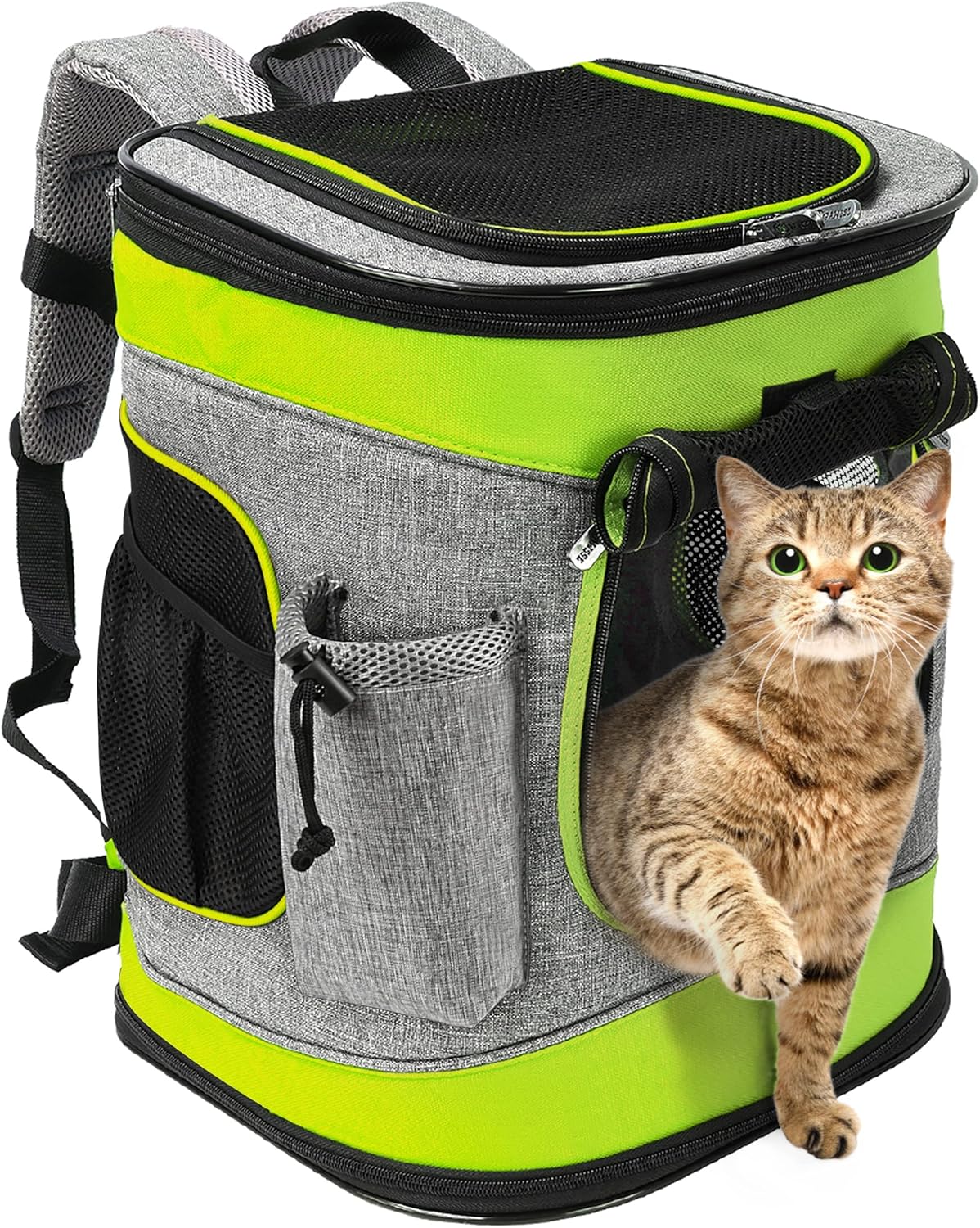 Haustier-Rucksack mit Mesh-Fenster, atmungsaktiv, faltbar, Grün