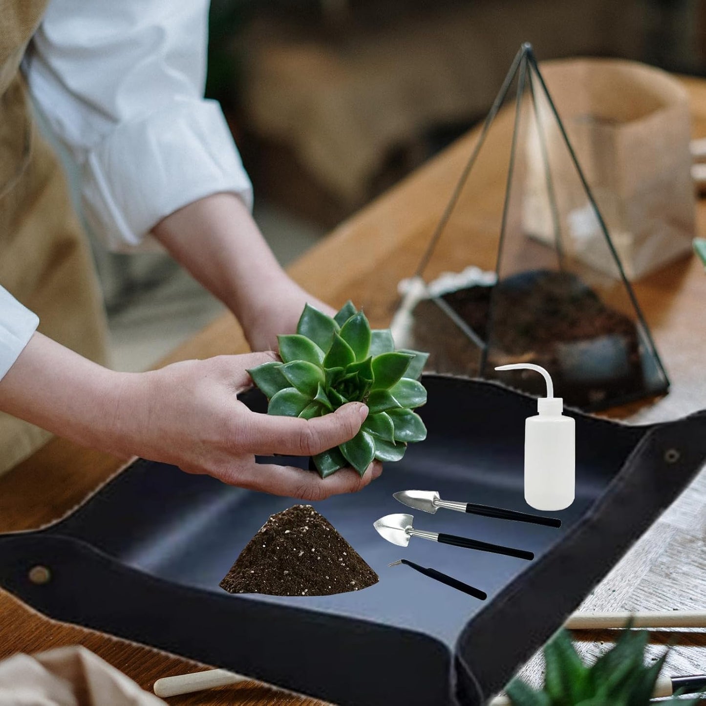 15-teiliges Bonsai Werkzeug Set