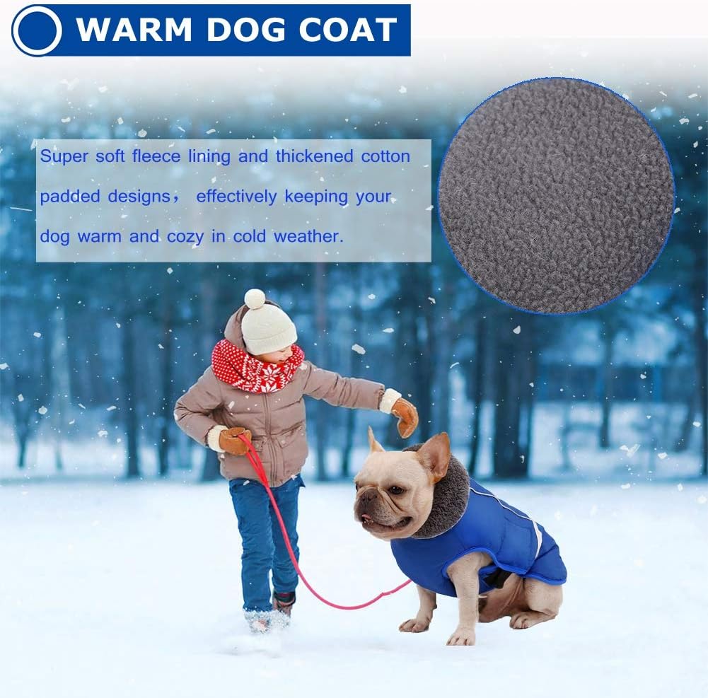 Hundewintermantel, Blau Small（Pack of 1）