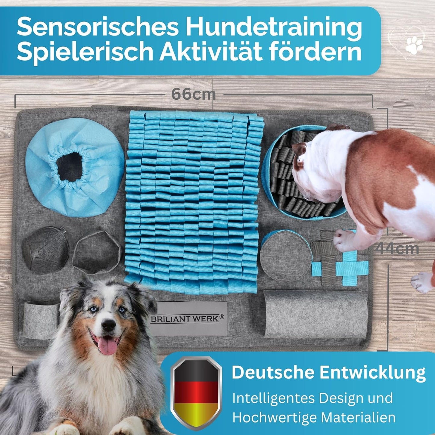 Schnüffelteppich mit 10 Trainingselementen und 3 Schwierigkeitsstufen, gross Blau