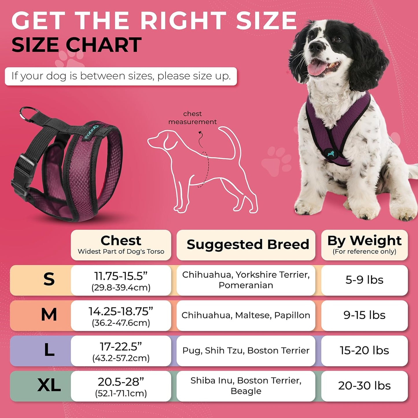 Comfort X Hundegeschirr, Small chest (9-13") violett