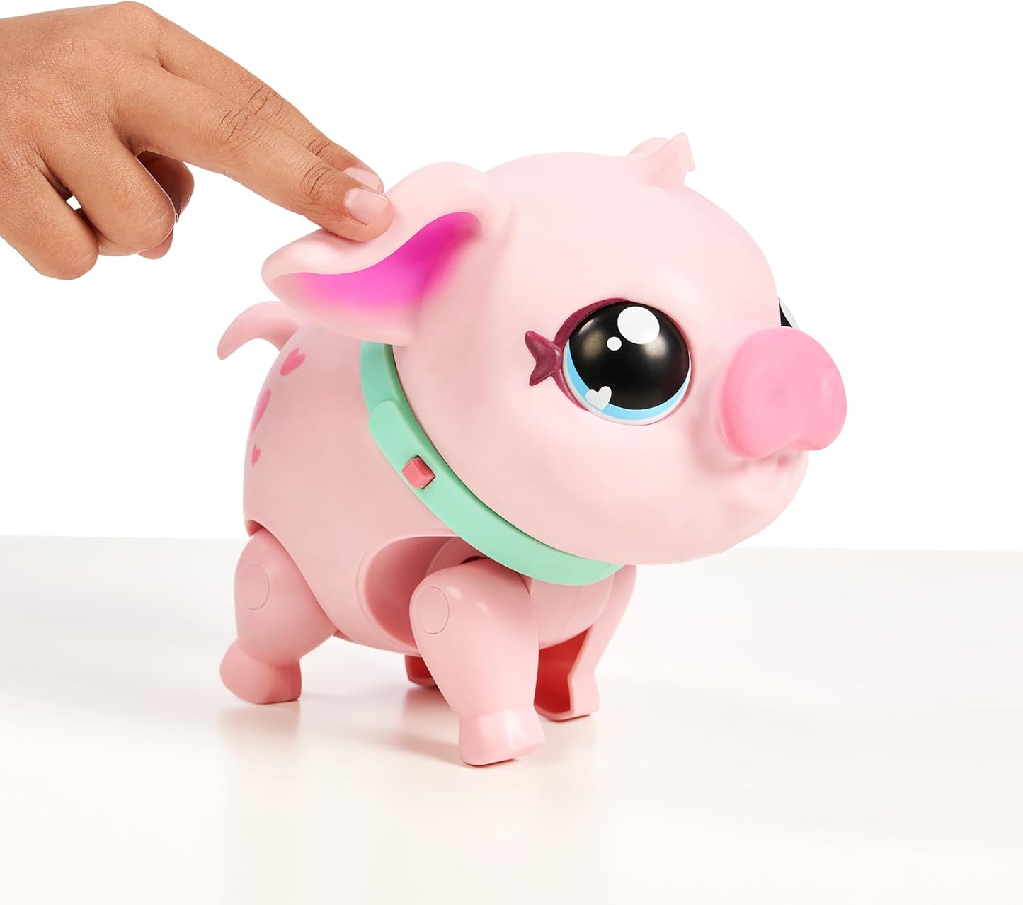 Mein Haustier Schwein, Pig