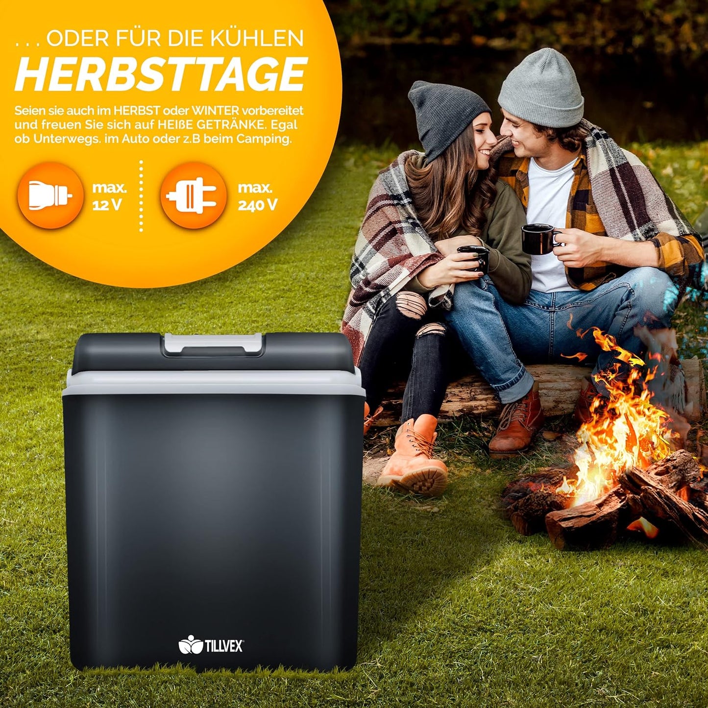 Elektrische Thermobox, Grau