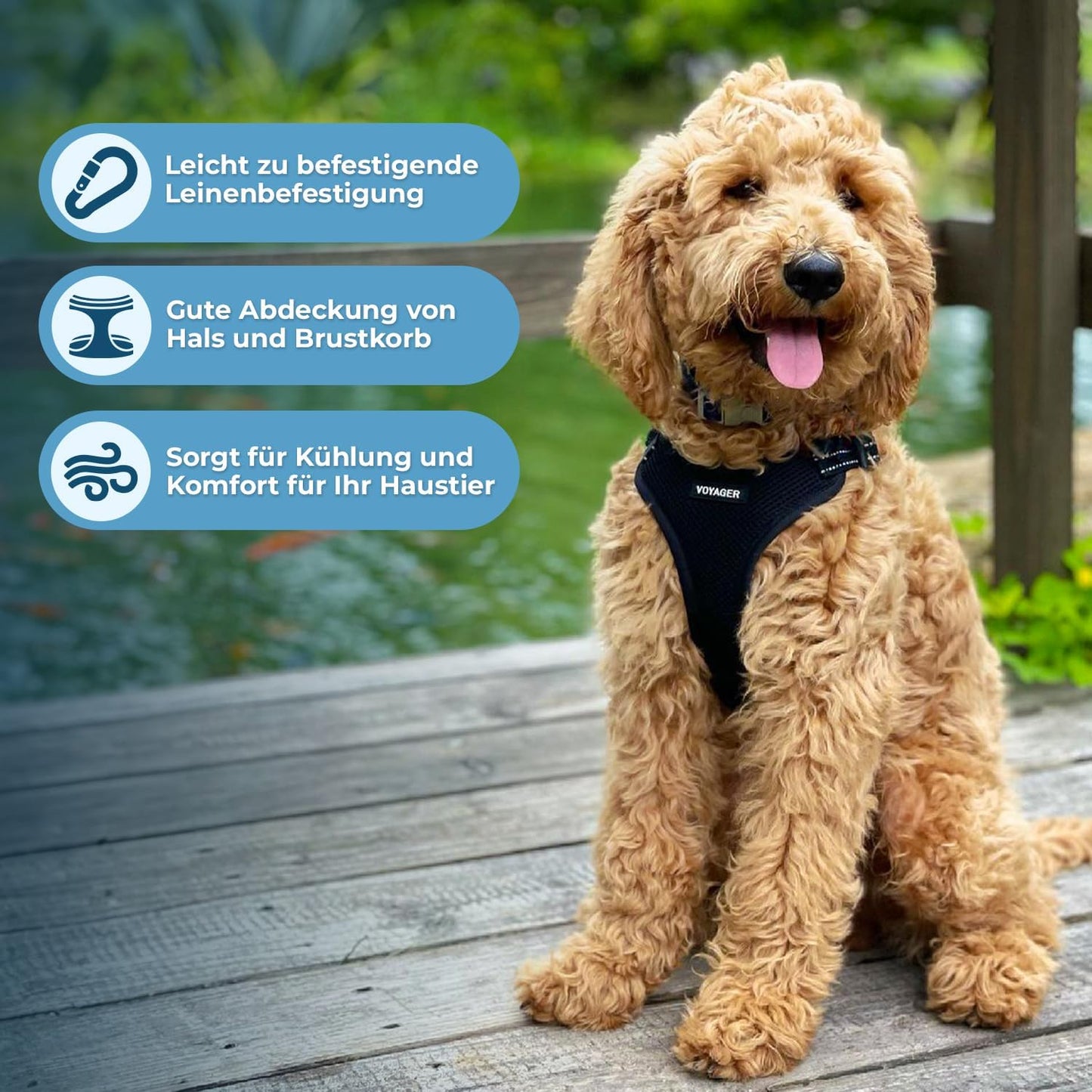 Hundegeschirr mit Reflektorstreifen
