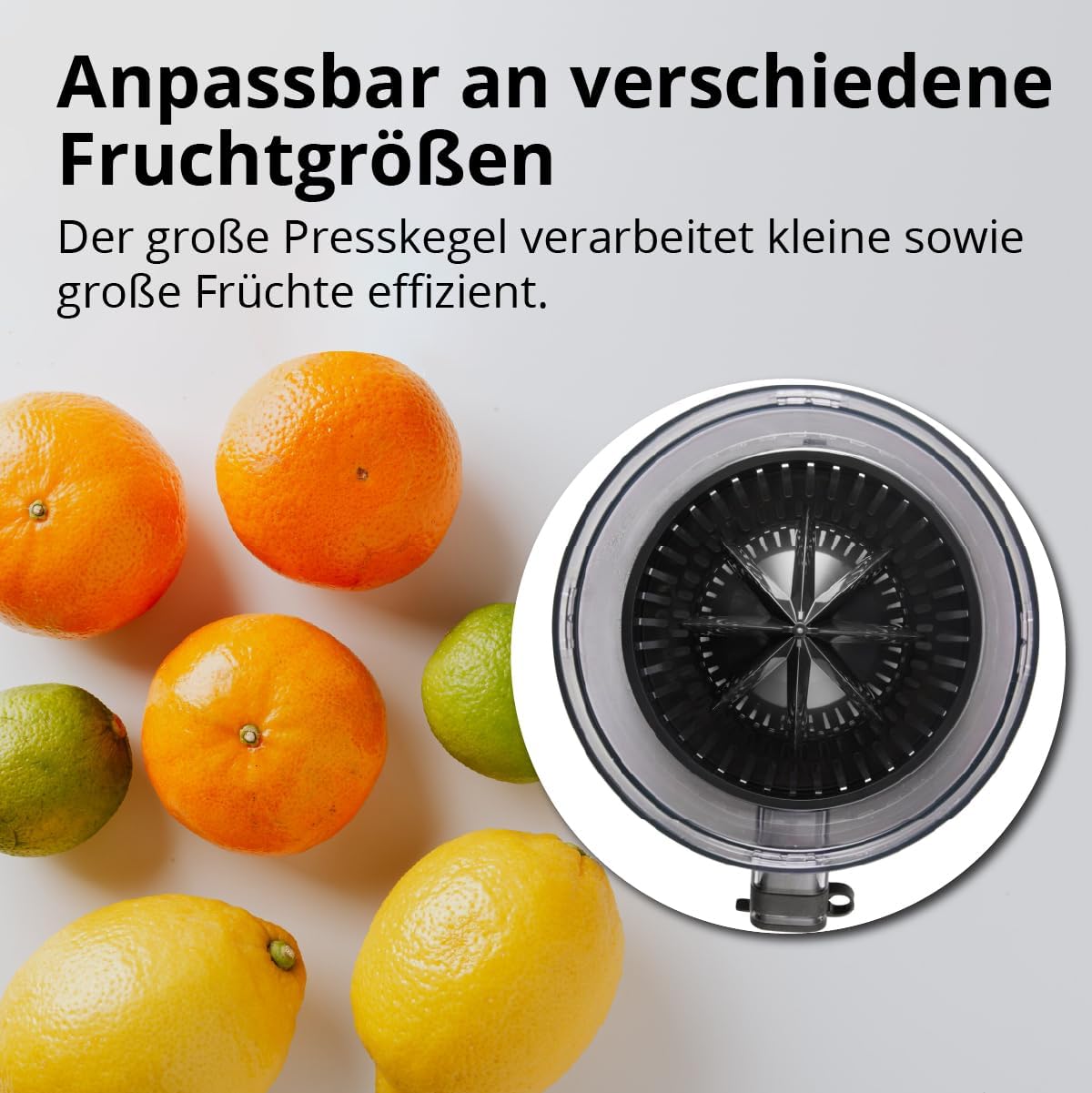 Elektrische Zitruspresse