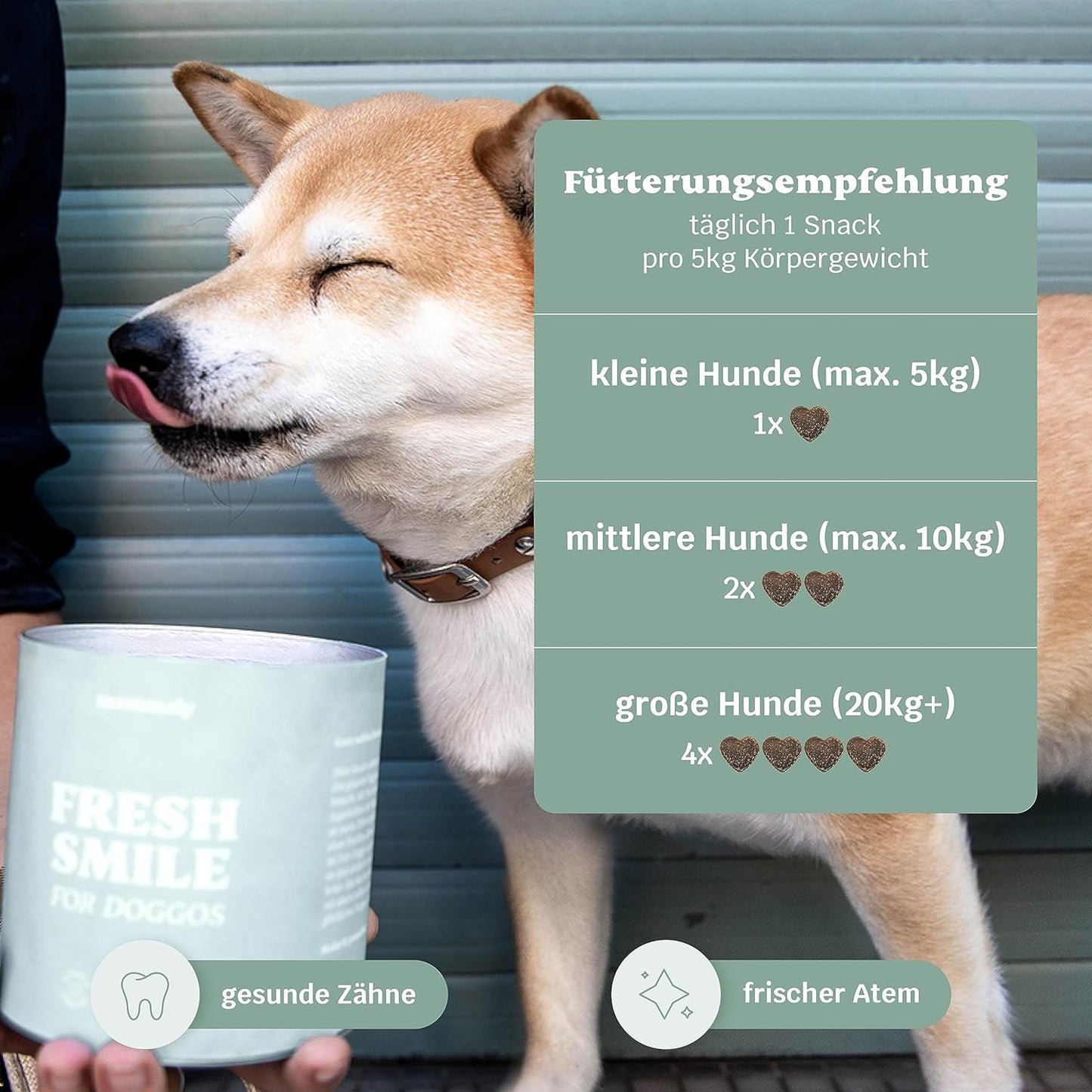 Zahnpflege Hundesnacks gegen Mundgeruch, 325 g (1er Pack)