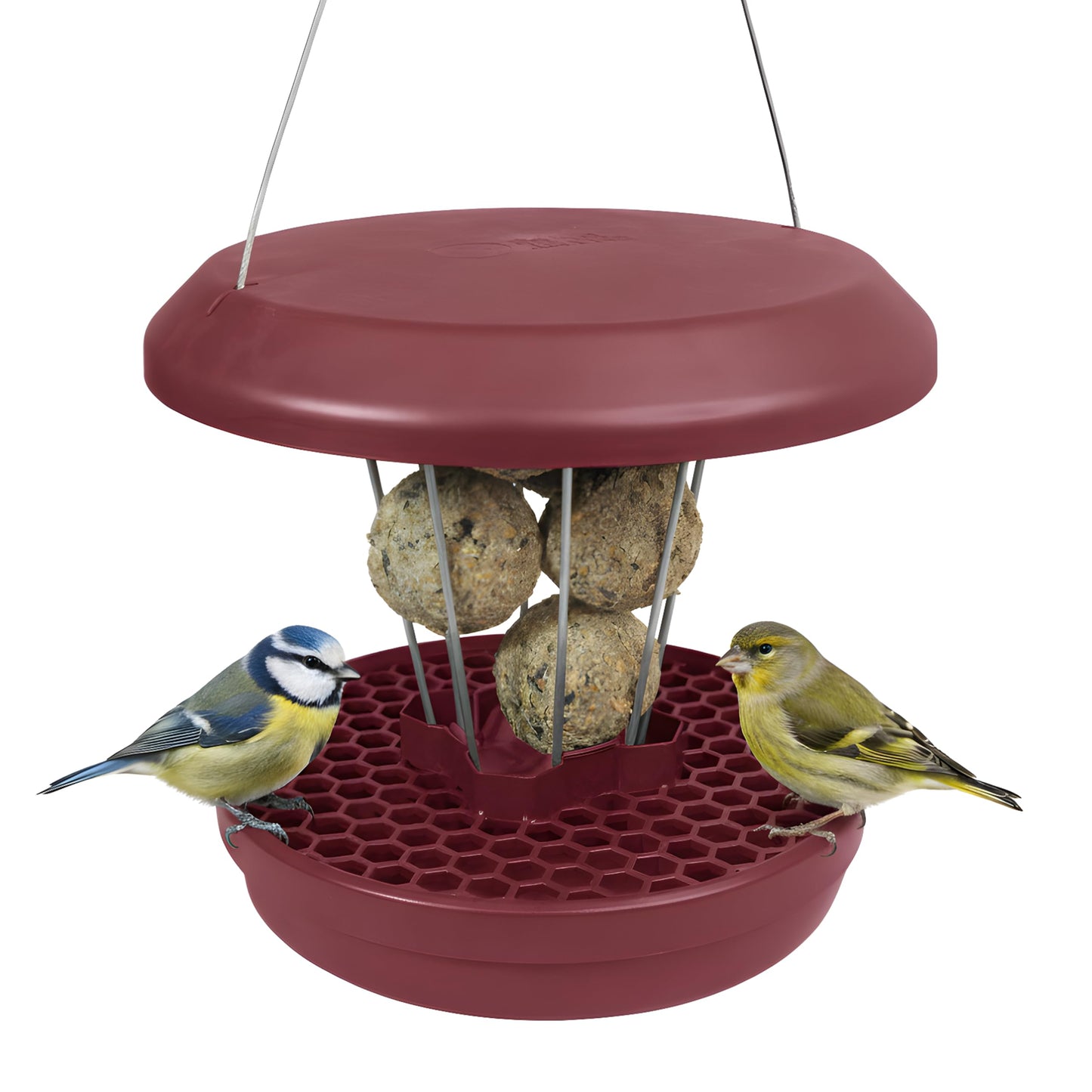 Vogel-Futtersilo Lucerne SMART BIRDS, Burgund Lucerne