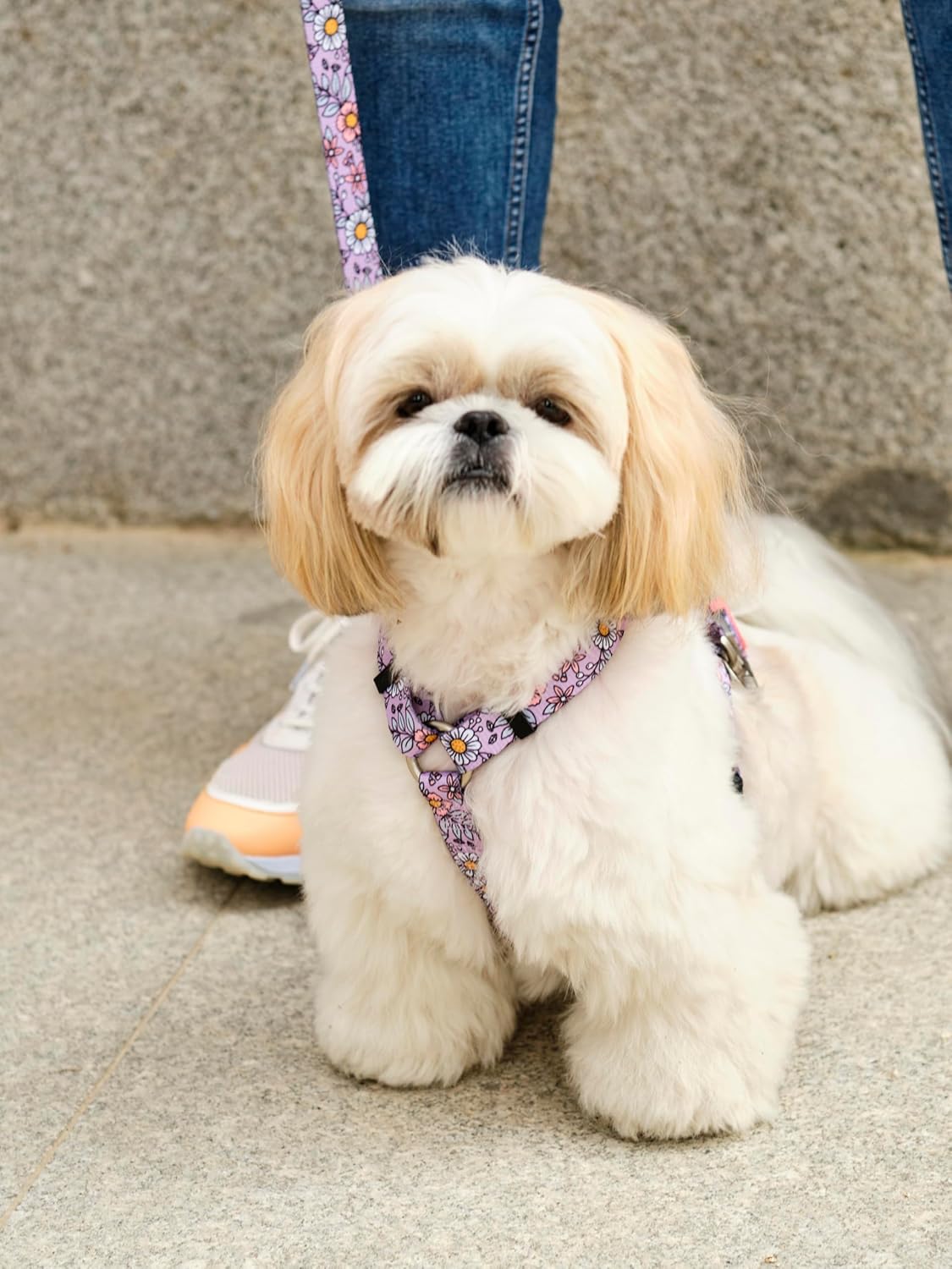 Klassisches Anti-Zug Hundegeschirr, FLOWER POWER L
