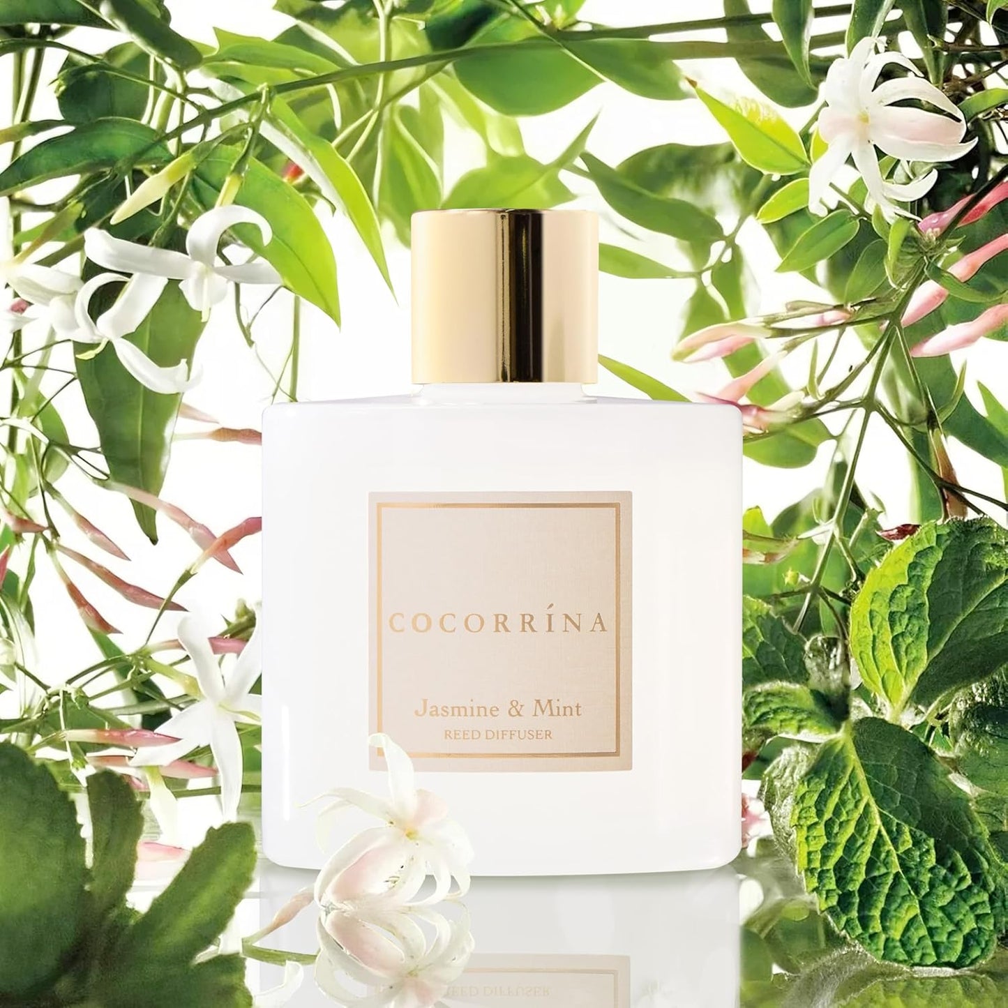 Raumduft Reed Diffuser Jasmine & Mint, Jasmine & Mint Raumduft/200ML/1 Stück