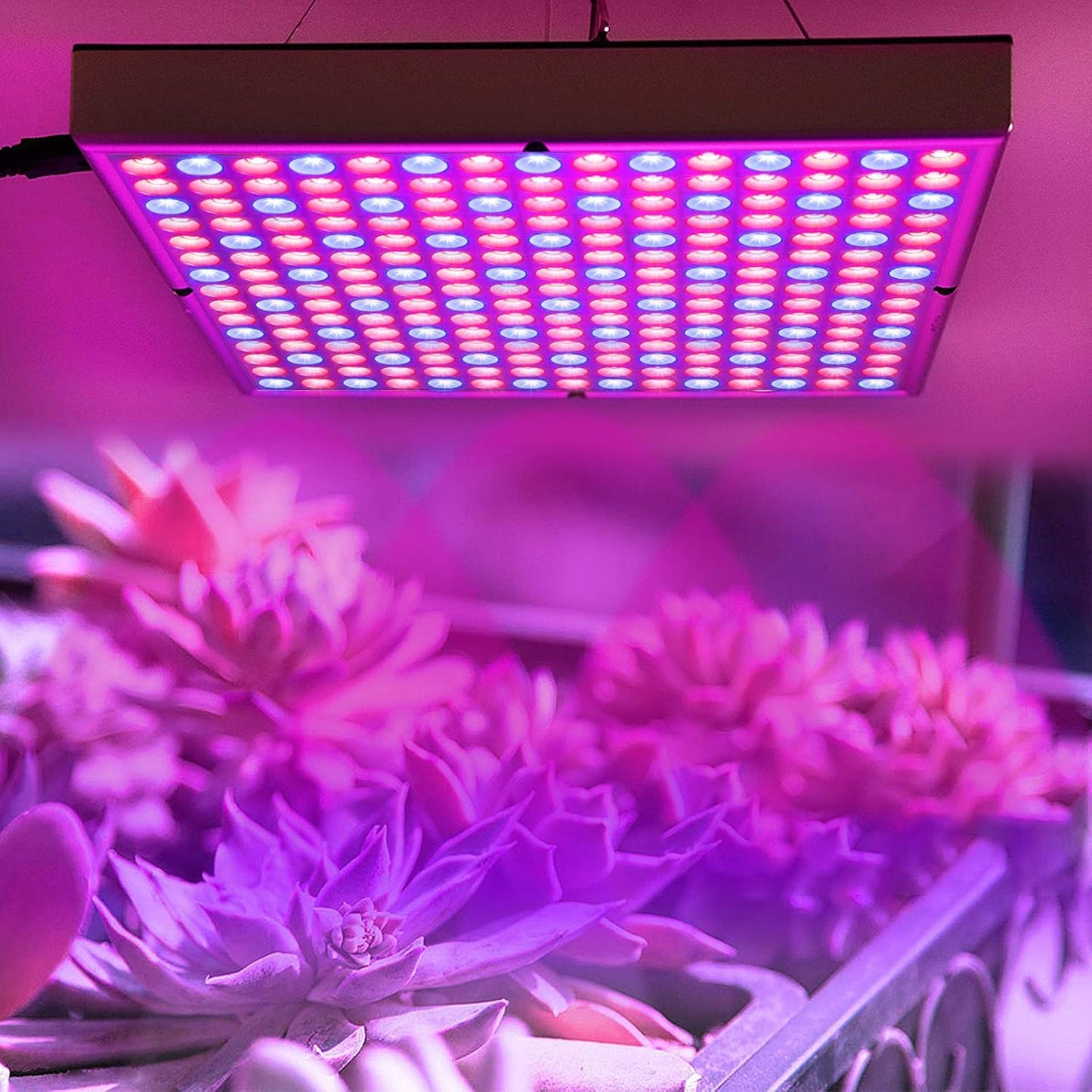 Pflanzenlampe mit 225 LEDs für Zimmerpflanzen, 45w