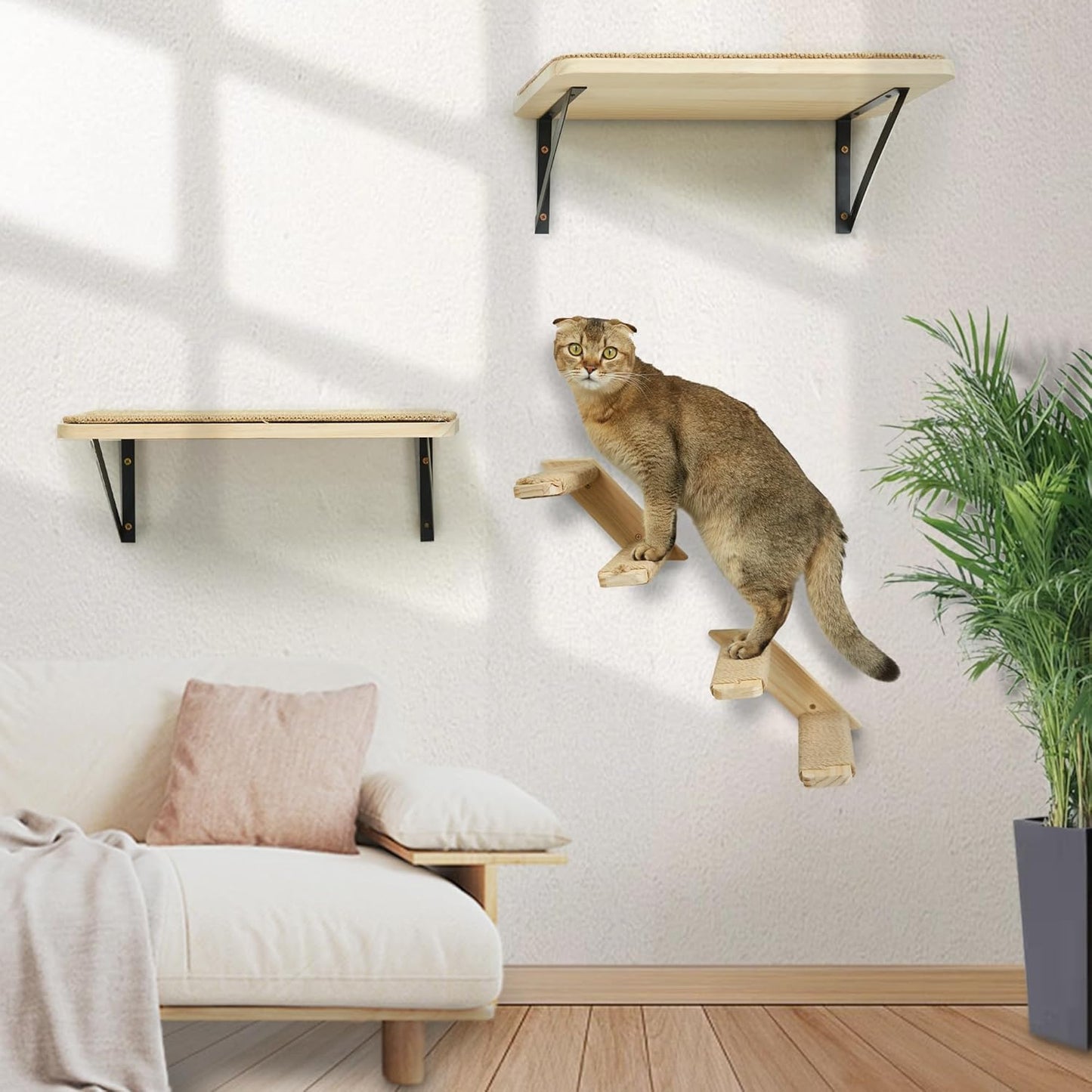 Kletterwand-Set für Katzen, 2PC Zwei Stufen + 1PC Katze Wandregal