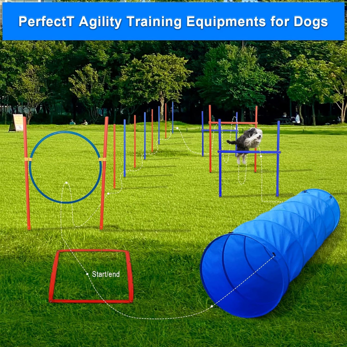 7-teiliges Agility Set mit Tunnel und Hürden