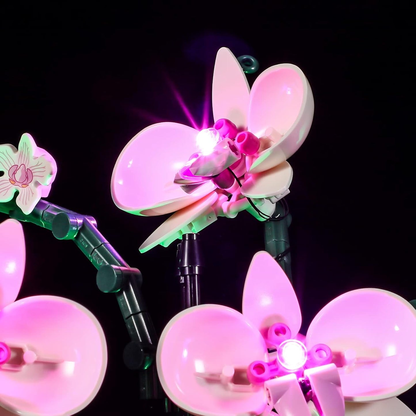 Licht-Set für Lego Orchidee (10311), 10311 Orchidee