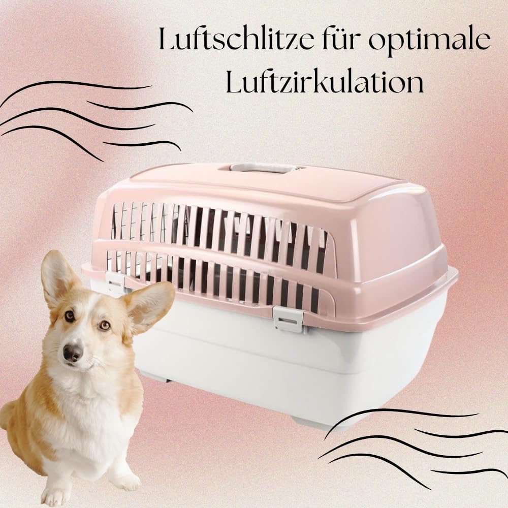IATA-konforme Hartschalen-Transportbox, 2 Stück