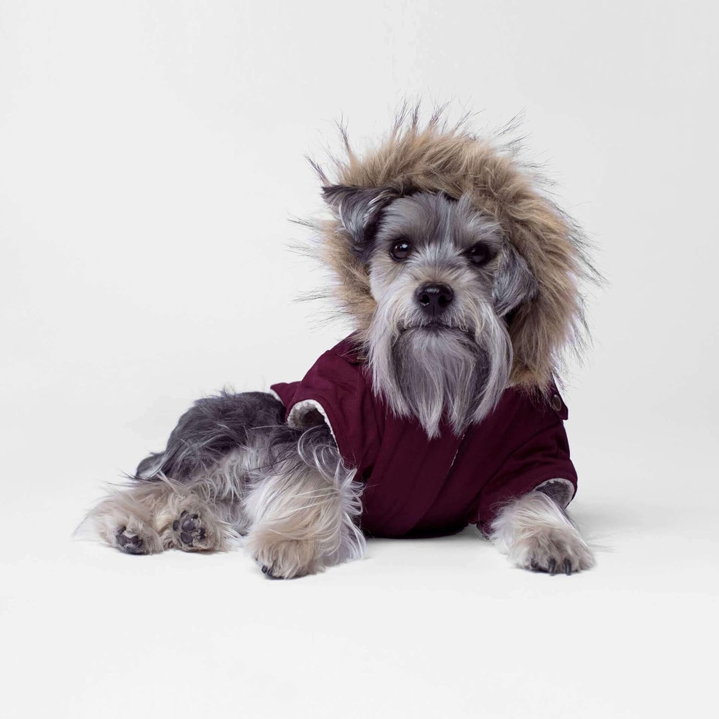 Winterparka für Hunde, kastanienbraun Size 12 W