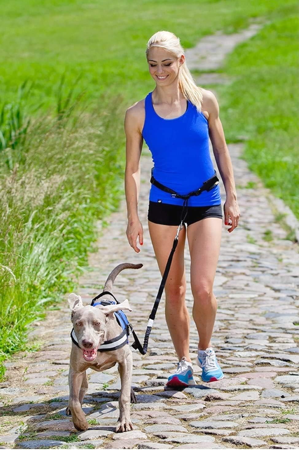 Jogginggurt mit Hundeleine und Stossdämpfer, L/XL (1er Pack) Schwarz