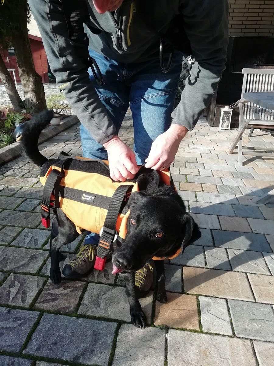 Rettungshundegeschirr Laika